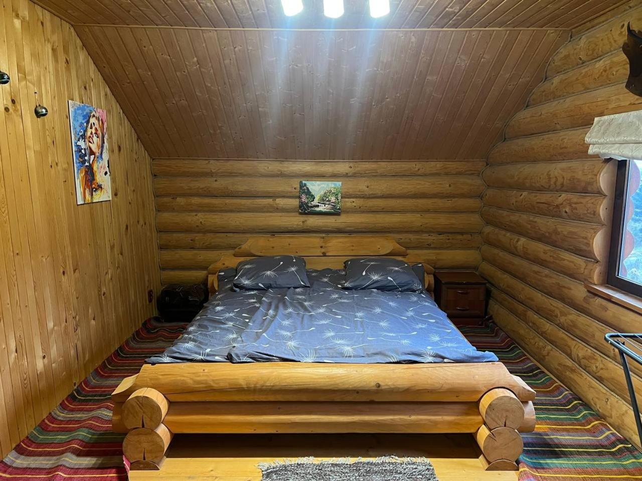 Farmstead Lisova Hostel Mizhhirya  Kültér fotó