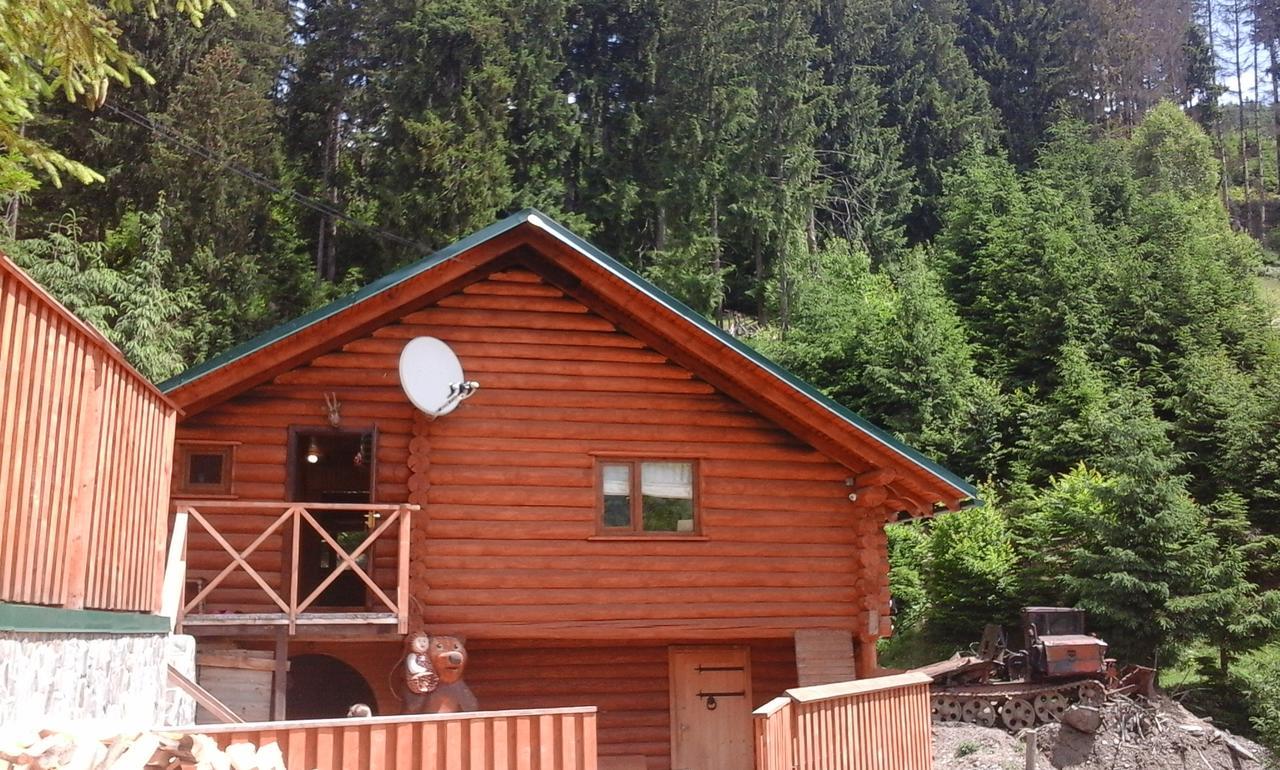 Farmstead Lisova Hostel Mizhhirya  Kültér fotó